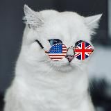 🐈🇺🇸 Kitty English 🐈‍⬛🇬🇧