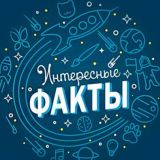 Интересные факты