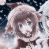 ⌜ κᥙᥴ᧘᧐ᴛᥲ | щп? ⌟