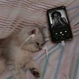 пошлый вайб