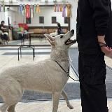 ᴋᴀᴛюɯᴋᴀ.𝙬𝙬