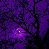 𝐁𝐞 𝐘𝐨𝐮 💟