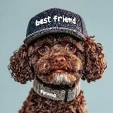 ЗооАптека🐶