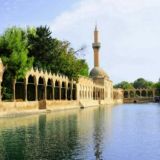 Şanlıurfa Fen Bilimleri Atama