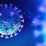 Undiscovered Covid Truth