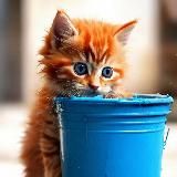 Ох уж этот ремонт…