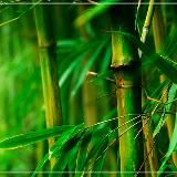 😍👍😄СЕКРЕТЫ ДОЛГОЛЕТИЯ🙏👍❤️