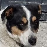 ЖОПОВ и КонтролСтрайк