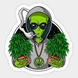 🚸𝕭𝖔𝖓𝖌'𝕿𝖆𝖚𝖓_отзывы