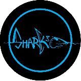 Shark & Co