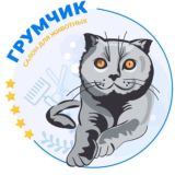Красивая стрижка собак и кошек Лицензированная школа Груминга Ростов-на-Дону ГрумЧик🥇Кошки, Собаки, путешествия, юмор, мнение😅
