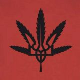 ШМАЛЕСМАЛИ #укртг 🤙