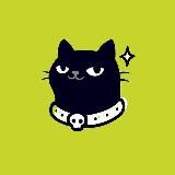 Кот лайфхакер