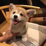 Уютный уголок💗