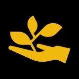 BSC FARM - CHINA 🇨🇳