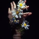 🌿Сезонный Вайб🌿