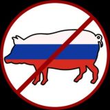 Eternal Muscovite ✙ ∆