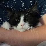 Типа Андреев 🎄