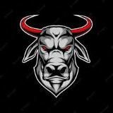 Toro🐂Imports ve🇻🇪