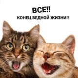 Испанский язык с нуля