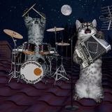 Музыкальный котик
