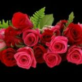 اردو شعر وشاعری اور غالب