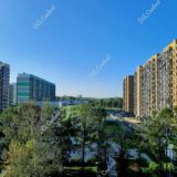 ДОЛГОПРУДНАЯ АЛЛЕЯ ㅤ