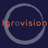 Igrovision