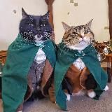 Славянка вещает