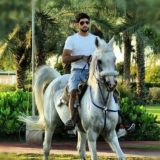 Non-cutting Board Winner