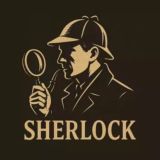 Шерлок / Пробив / Узнать информацию