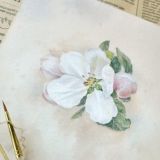 Мастер-класс "Цветущая яблоня"