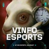 VALORANT ESPORTS | VINFO