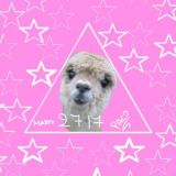 Sclero Time😂❤️#QUEEN2717