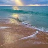 "Mafiya Baku"söhbət