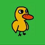 $DUCK - Launch July 18 🐤