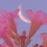 aesthetics💞⚠️