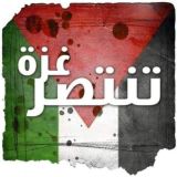 مشروع ضاكتور