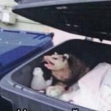 ✨Волшебный грот✨ 🔞