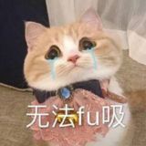 泡泡Dog | 十八线小机场 | 流媒体稳定