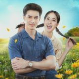 အရောင်ပြောင်းသောမေတ္တာ (TSF)