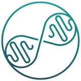 Семинары НИИ СБМ