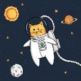 Кот расскажет