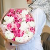 Doctor_AMO