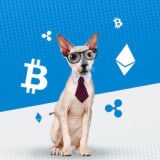 MR. VB ALP Chat