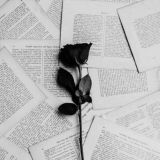 𝓑𝓵𝓪𝓬𝓴 𝓡𝓸𝓼𝓮