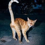 Мистецтво і ще щось