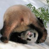 Здравый смысл в эпоху DevOps и облаков