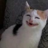 приняли ислам.🧕🏿