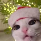 Меломан | Ремикс